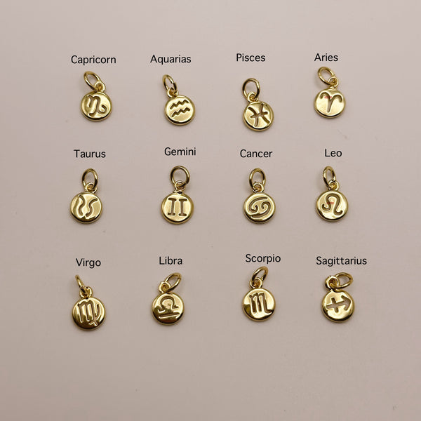 Zodiac Sign Charms