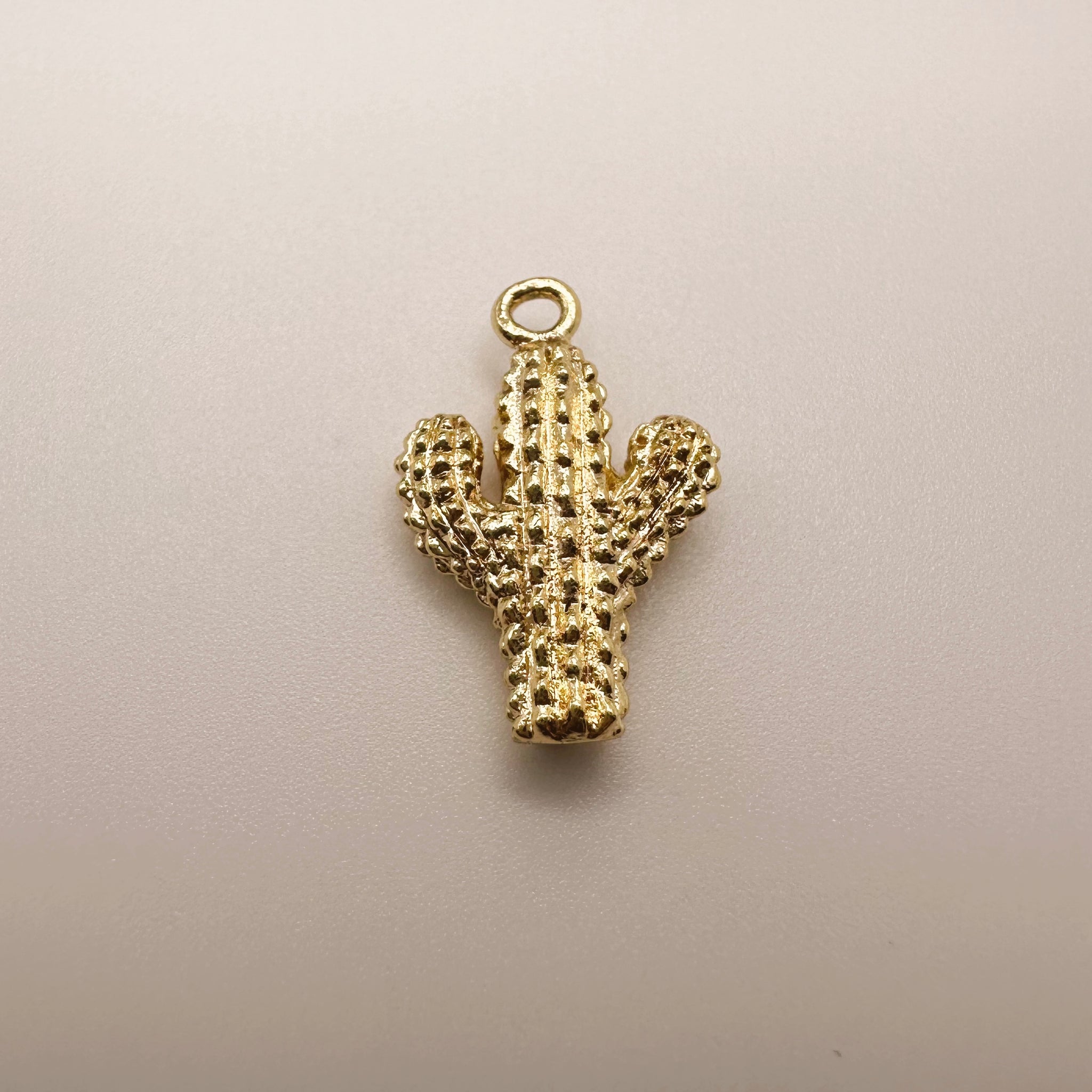 Cactus Charm