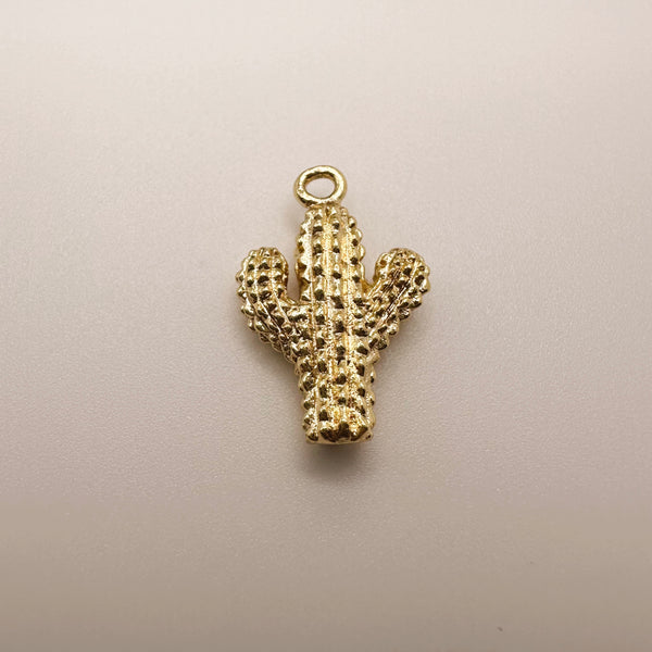 Cactus Charm