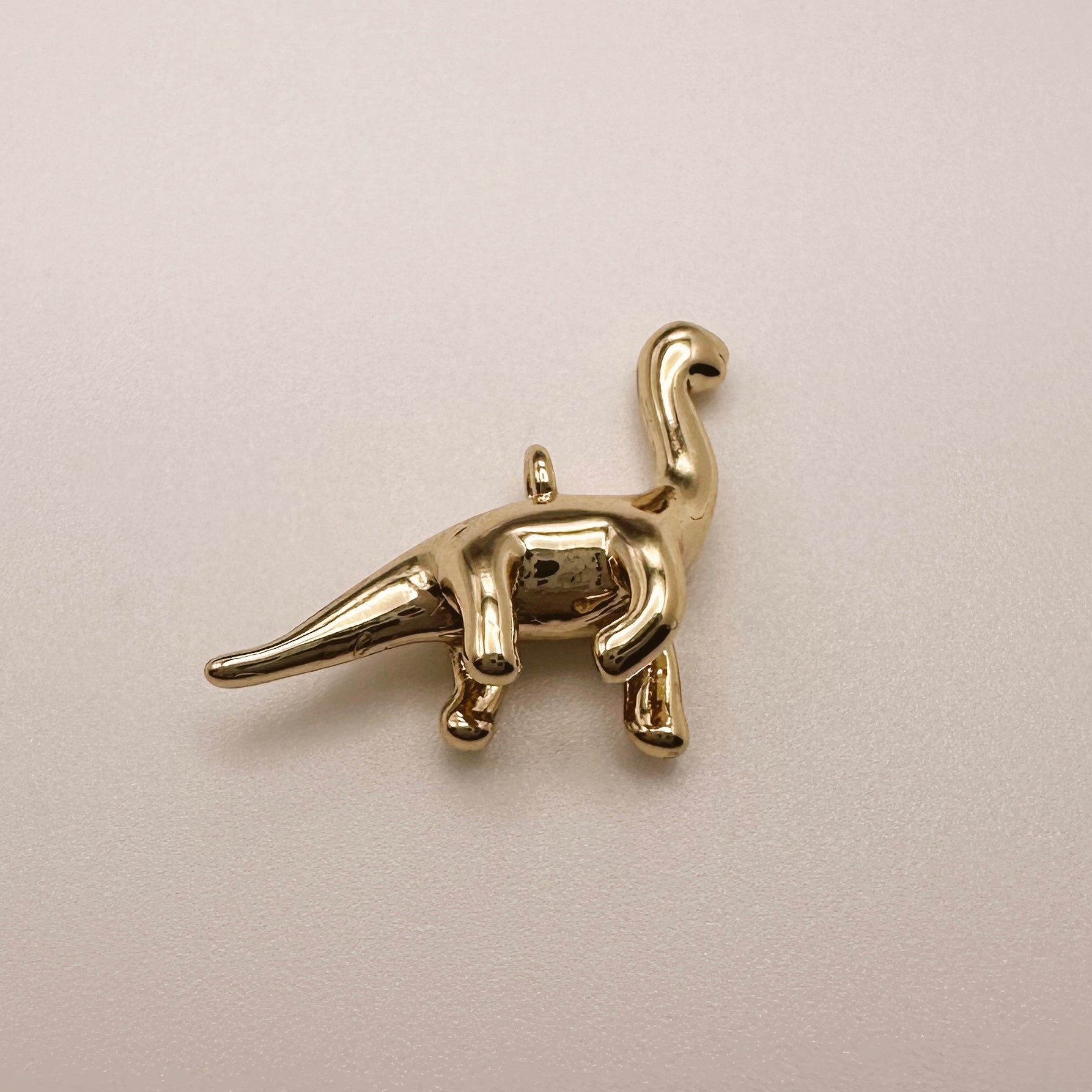 Dino Charm