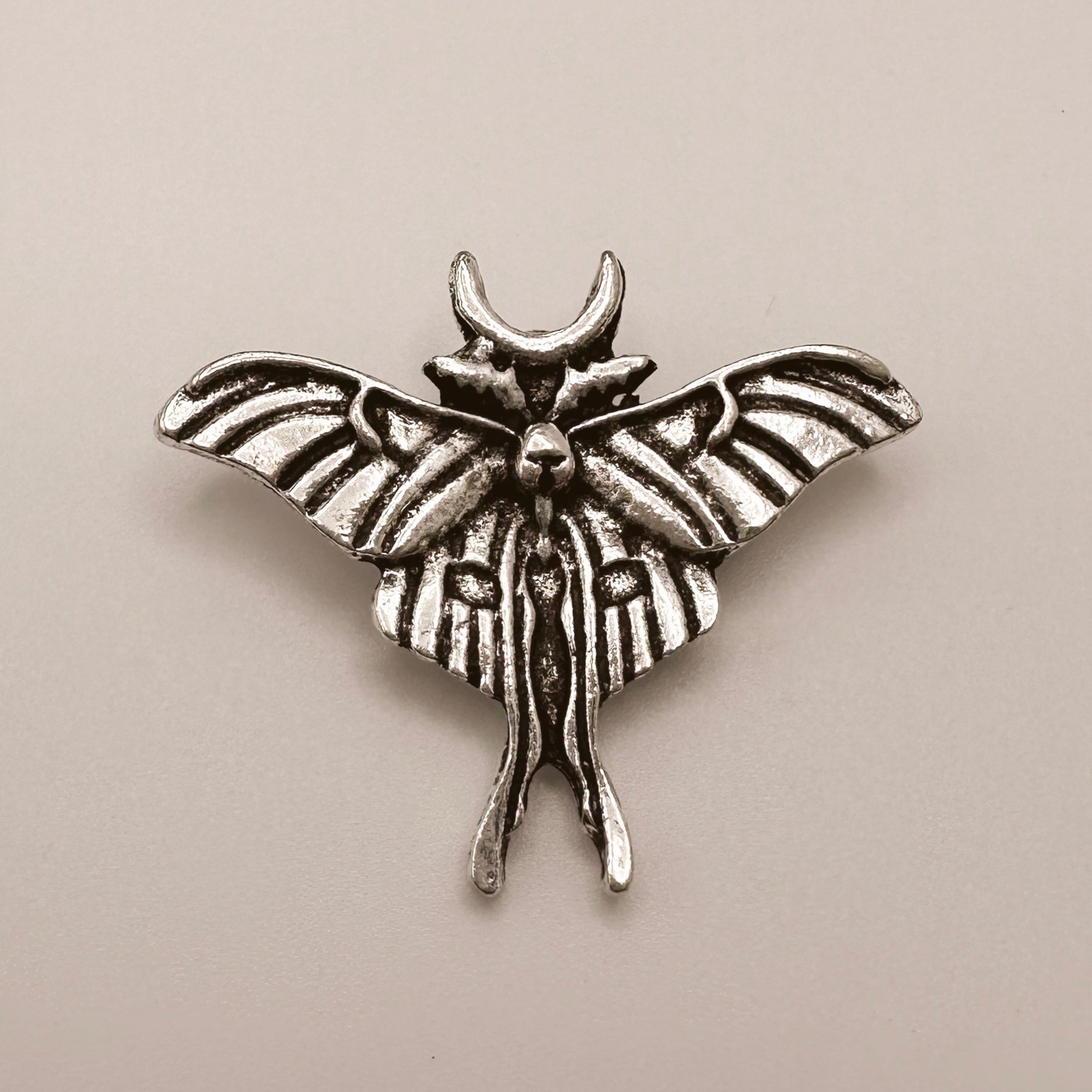 Silver Moth Charm