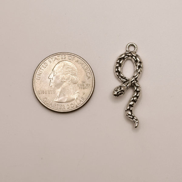 Silver Snake Charm