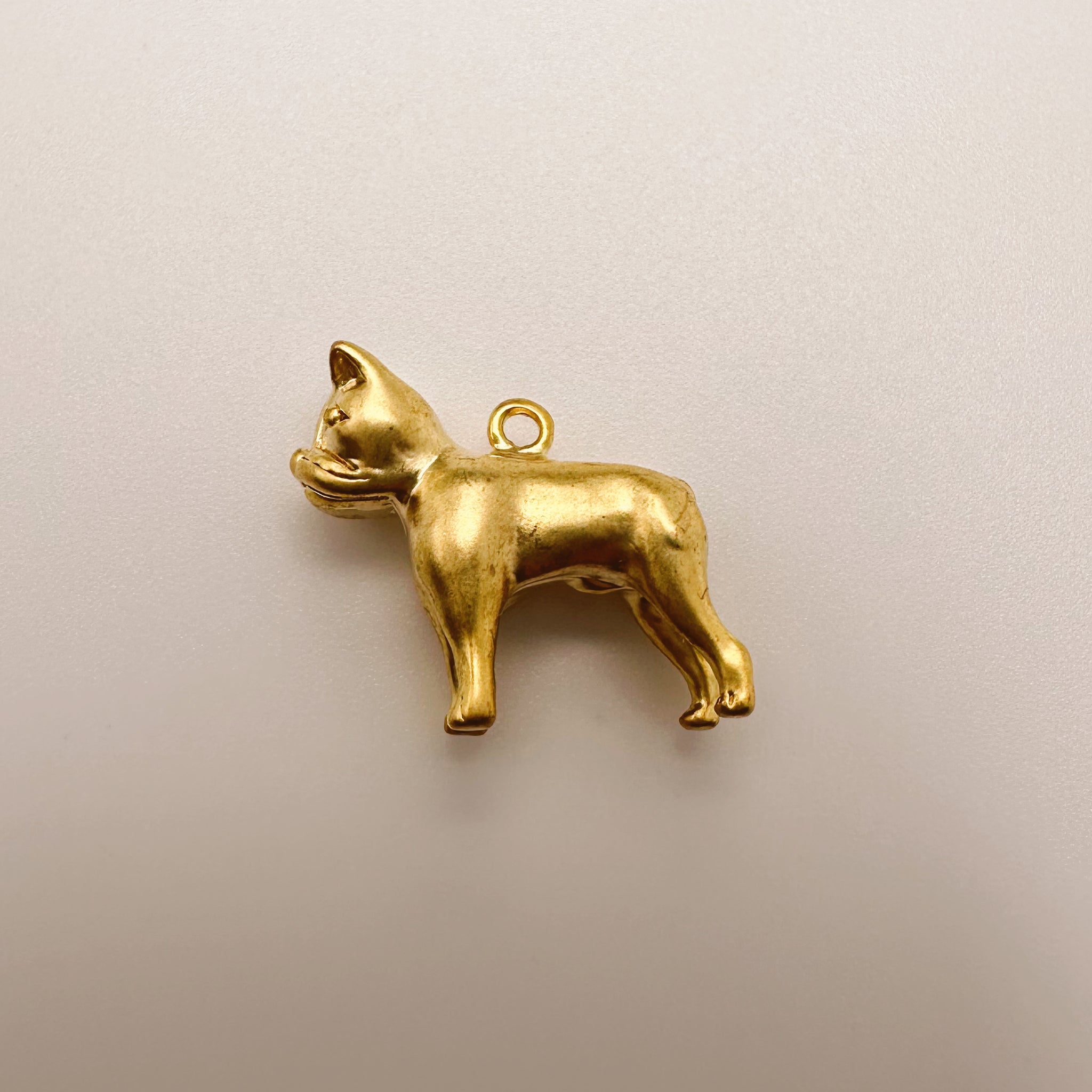 French Bulldog Charm