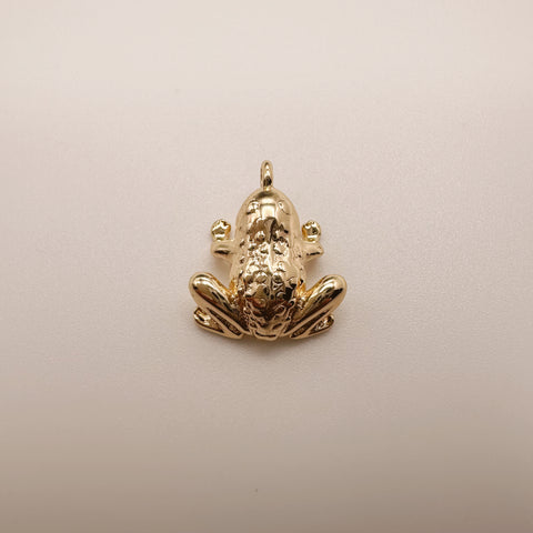 Frog Charm