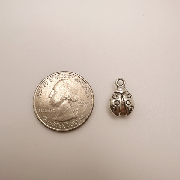 Silver Ladybug Charm