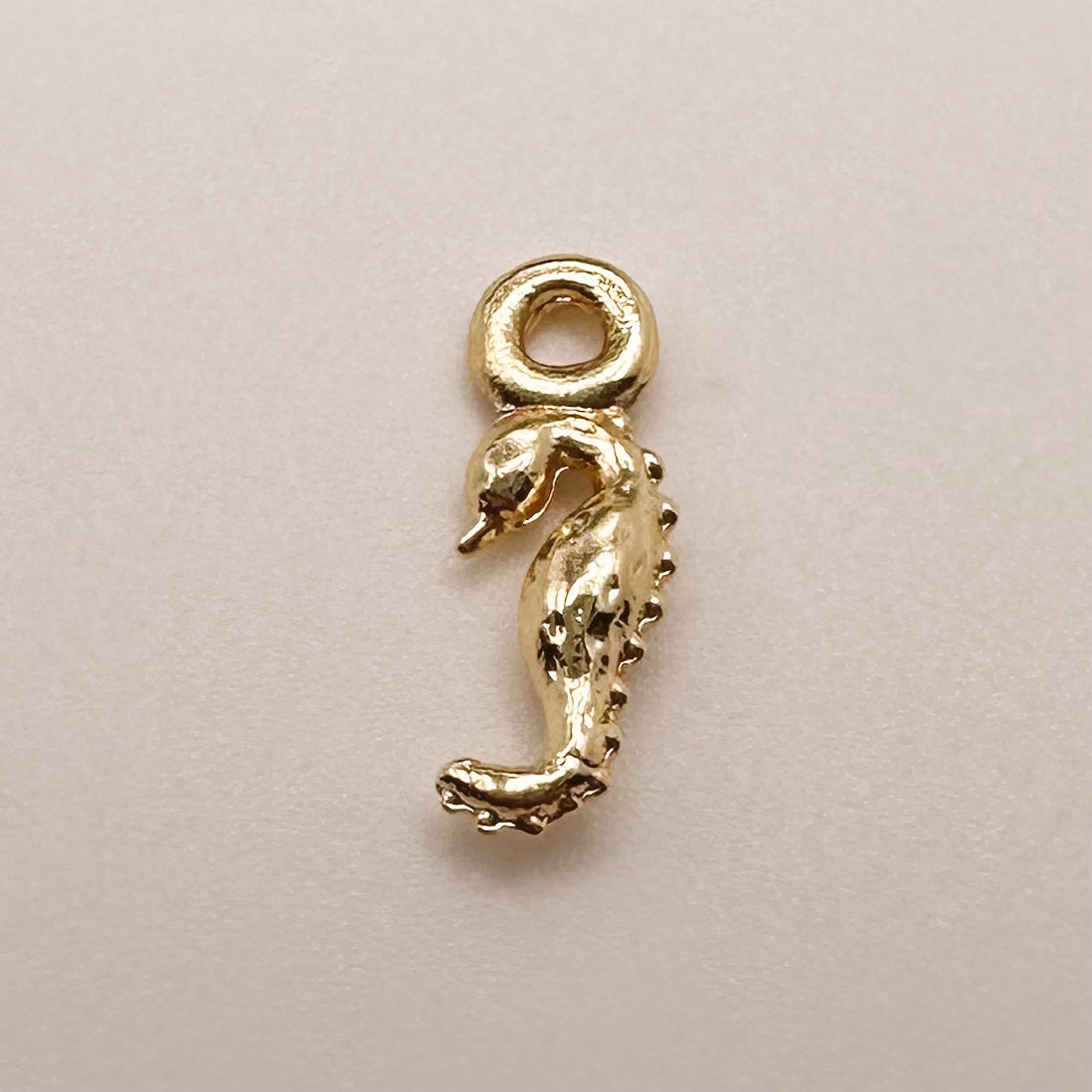 Tiny Seahorse Charm