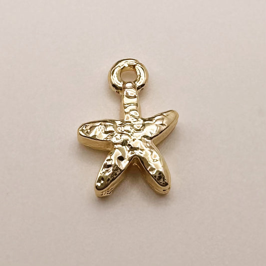 Dainty Starfish Charm